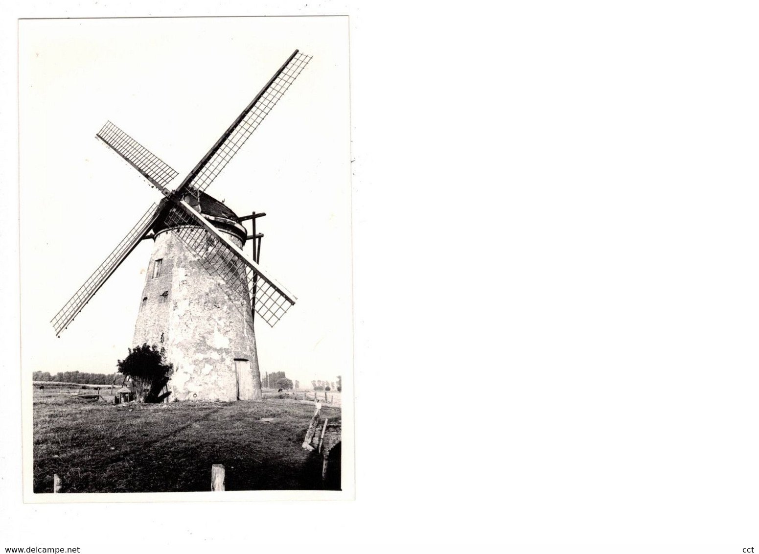 Meetkerke  Zuienkerke   FOTO  van de Grote molen  Biezestraat   1979 MOLEN  MOULIN