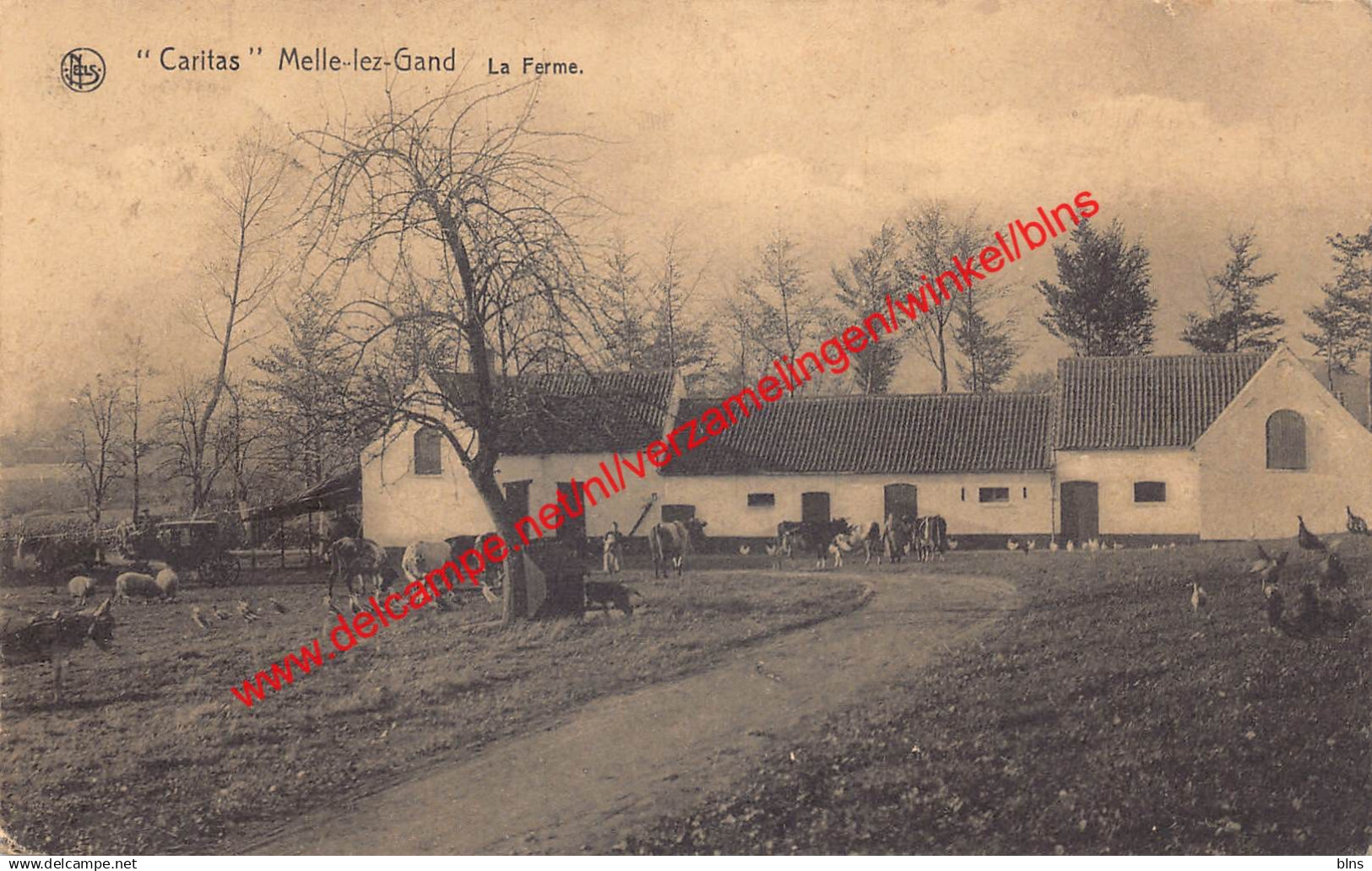 Melle-lez-Gand - Caritas - La Ferme - Melle