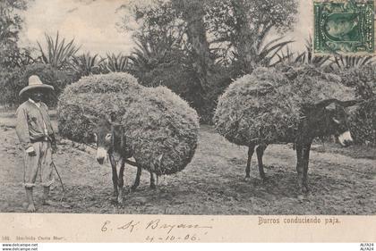 CARTOLINA MESSICO 1906 (RY6251