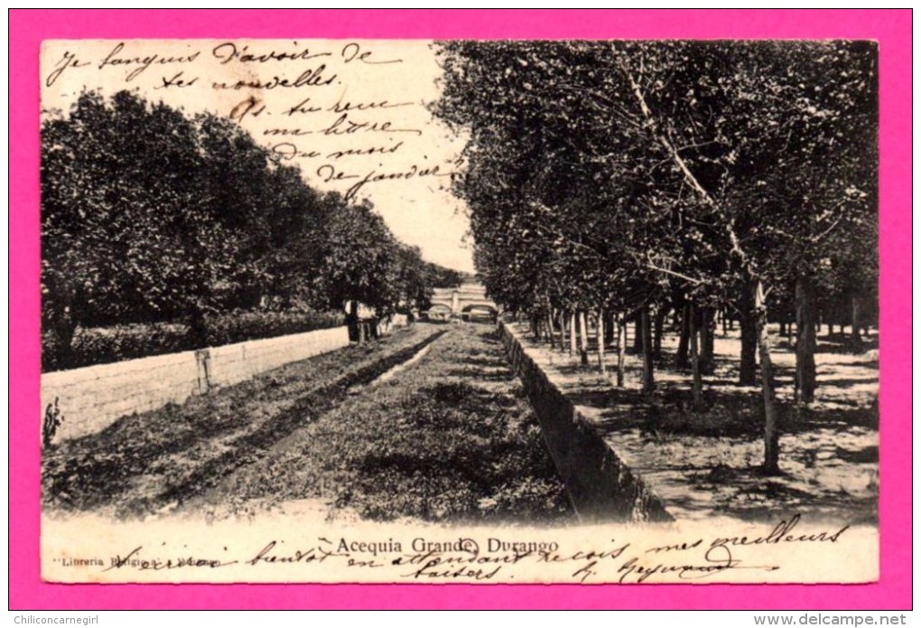 Mexique - Acequia Grande Durango - Libreria Religio - 1908