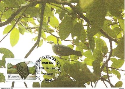 1990 - MICRONESIA Micronesie - Pohnpei Caroline Islands - Iles carolines - MICRONESIAN PIGEON