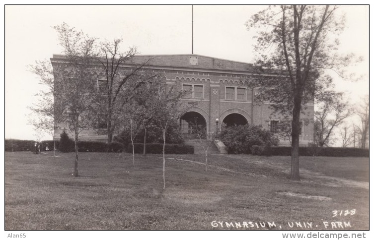 Minneapolis Minnesota, Gymnasium University MN Farm Campus, c1930s/40s Vintage Real Photo Postcard