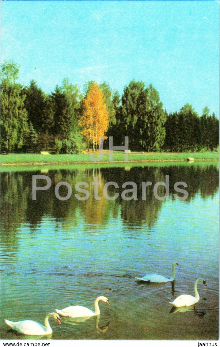 Minsk - The Botanical Gardens of Academy of Sciences of Belarus - birds - swan - 1977 - Belarus USSR - unused