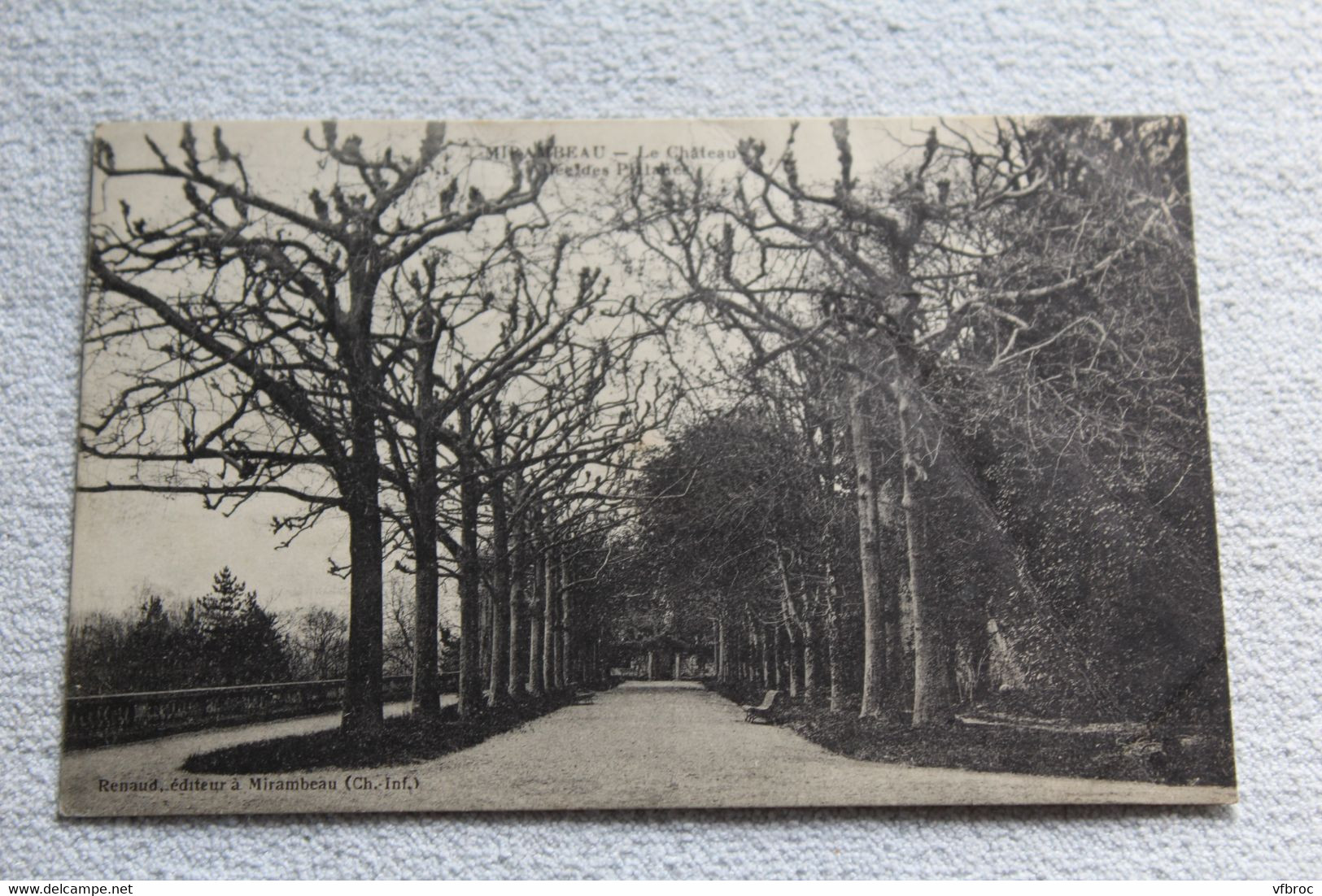 Mirambeau, le château, allée des platanes, Charente maritime 17