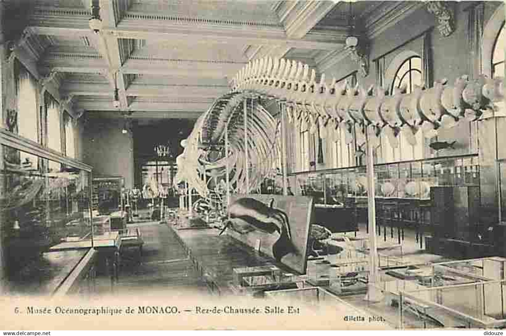 Monaco - Musée Océanographique - Res de Chaussée - Salle Est - CPA - Voir Scans Recto-Verso