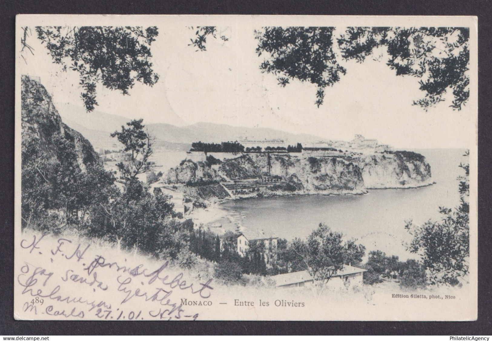 MONACO, Postcard RPPC, Monaco, Between the Olive Trees