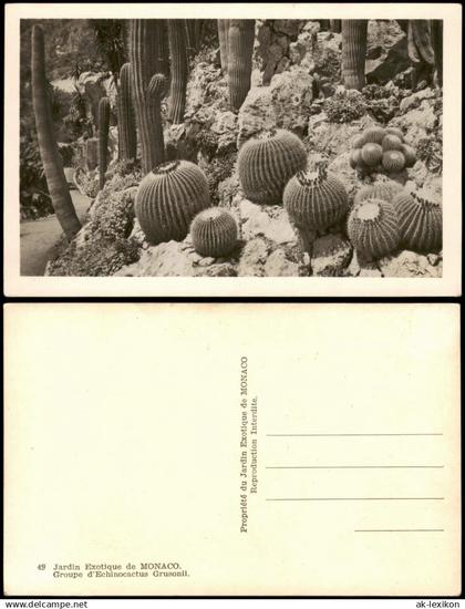 Monaco Exotique de MONACO Groupe d'Echinocactus Grusonii (Kakteen) 1940