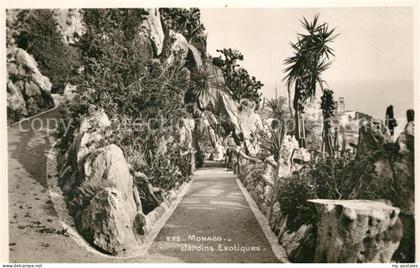 43372715 Monaco Jardins Exotiques Monaco