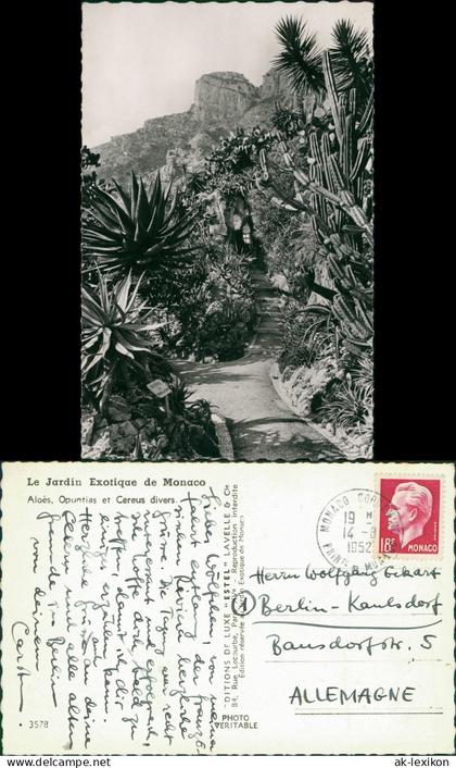 Monaco Jardin (Park) Exotique Aloès, Opuntias et Cereus divers 1952