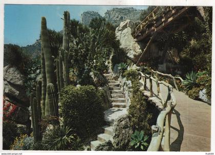 AK 233299 MONACO - Le Jardin Exotique