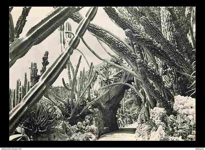 Monaco - Le Jardin exotique - CPM - Voir Scans Recto-Verso