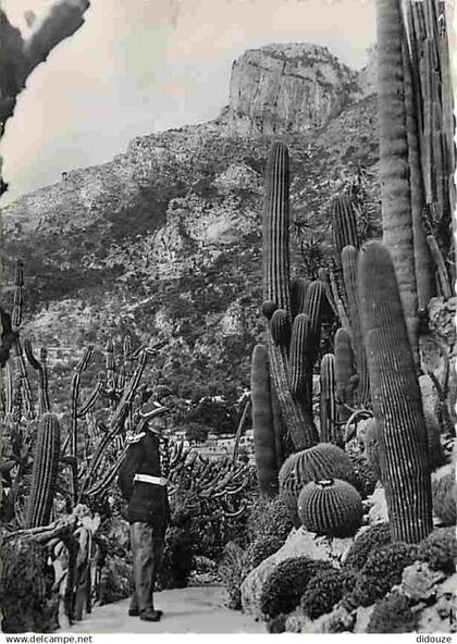 Monaco - Le Jardin exotique - CPM - Voir Scans Recto-Verso