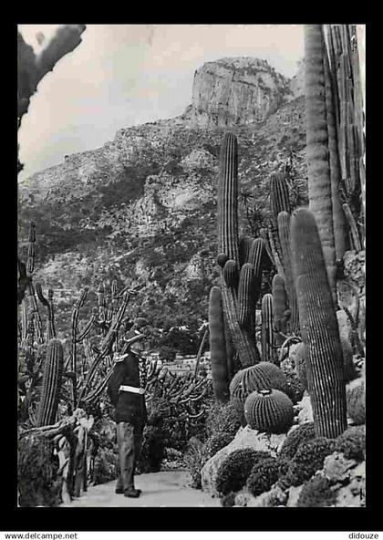 Monaco - Le Jardin exotique - CPM - Voir Scans Recto-Verso