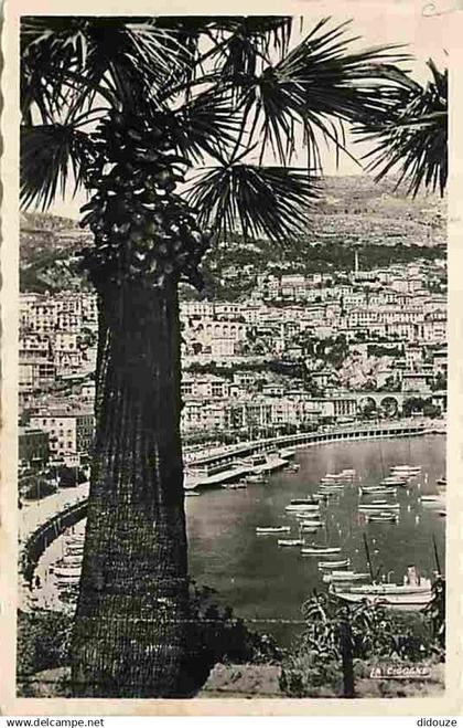 Monaco - Le Port et la Condamine - CPM - Voir Scans Recto-Verso