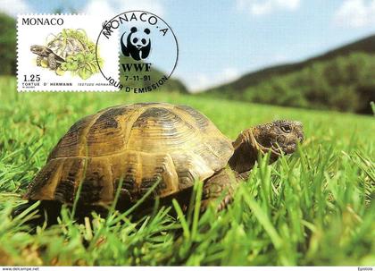 1991 - MONACO - Tortue Hermann tortoise WWF