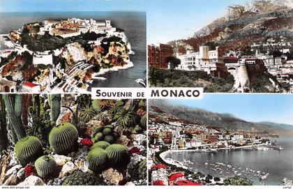 Souvenir de MONACO