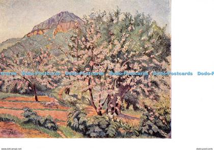 D000097 Cerisiers en Fleurs. Lucien Pissarro. Walker Art Gallery. Liverpool