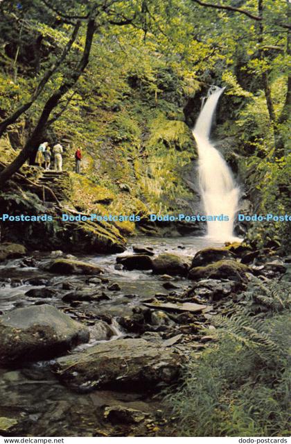 D005622 Dolgoch Falls. Merionethshire. Dixon. 1969