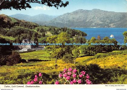 D008735 Tarbet. Loch Lomond. Dunbartonshire. E. Ludwig. Hinde