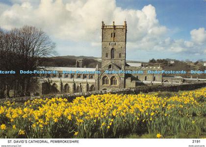 D024970 St. Davids Cathedral. Pembrokeshire. Pembrokeshire Eye