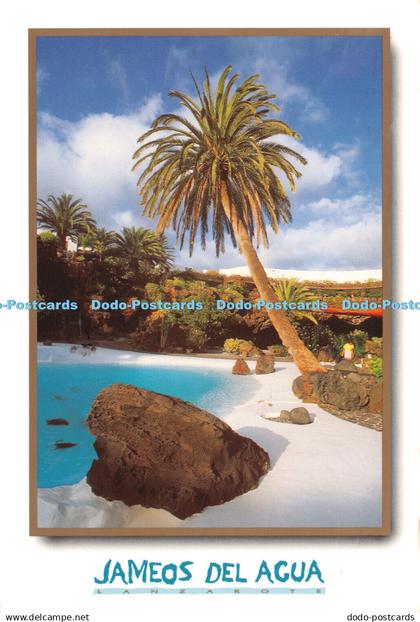 D043541 Jameos del Agua. Lanzarote. Postcard