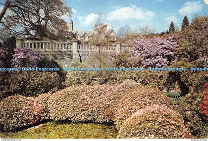 D058319 Bodnant Gardens. Denbighshire. National Trust. Dixon. 1967