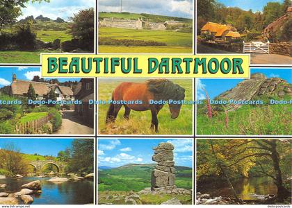 D065270 Beautiful Dartmoor. Dartmoor Prison. Pony. J. Salmon. Multi View