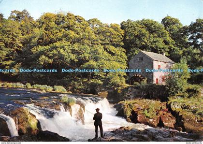 D072054 Cenarth Falls and Mill. Carmarthenshire. Dixon. Wales 6691