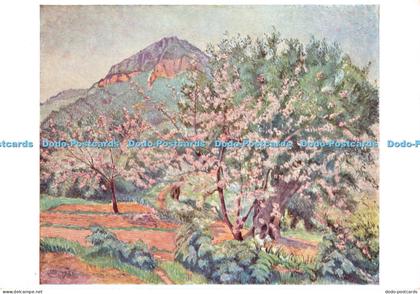 D075621 Liverpool. Walker Art Gallery. Cerisiers en Fleurs. Lucien Pissarro