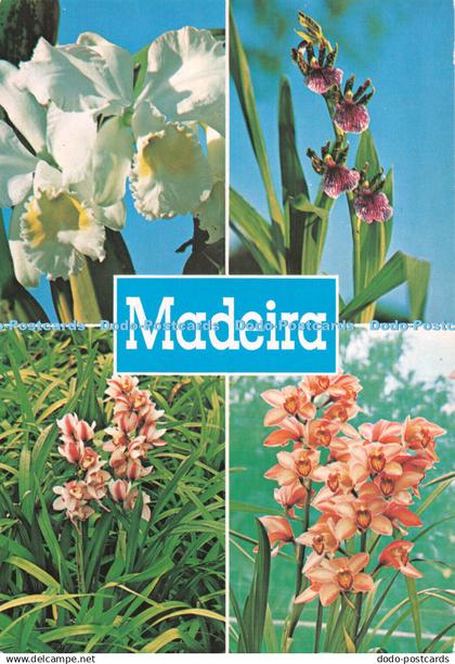 D118174 Madeira. Funchal. Orchids in the Quinta da Boa Vista. Hans Huber. F. Rib