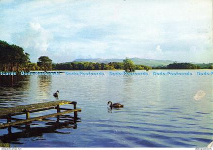 D169675 Kirkcudbrightshire. Carlingwark Loch. Castle Douglas. J. Arthur Dixon