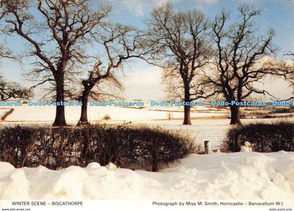 D181324 Biscathorpe. Winter Scene. Lincolnshire North. Lincolnshire South and Hu