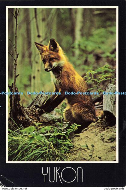 D185317 Yukon. Red Fox. Studio North. Dexter Colour