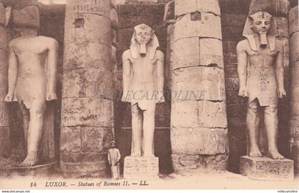 EGYPT - Luxor - Statues of Ramses II