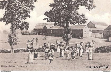 ENGLAND - Bedford - Bedfordshire Gleaners