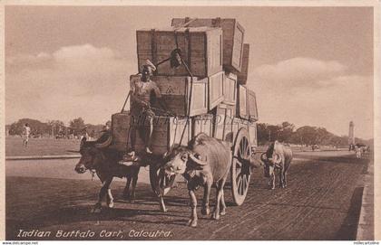 INDIA - Calcutta - Buffalo Cart