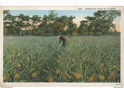 PC10472 Pineapple Field in Florida. Asheville. American Art. No 204