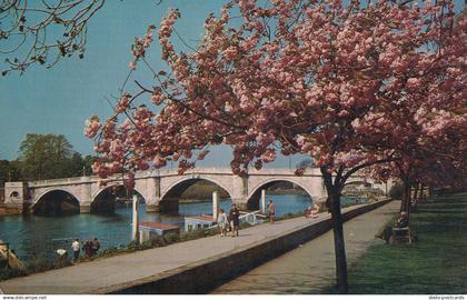 PC68317 Bridge and River Thames. Richmond. 1977