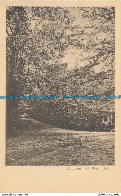 R014036 Waldweg nach Biesenthal. W. Neumann. B. Hopkins