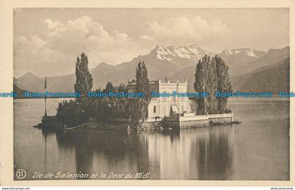 R030646 Die Insel Salanion und die Dent du Midi