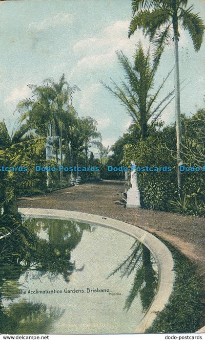 R031890 The Acclimatization Gardens. Brisbane. 1911