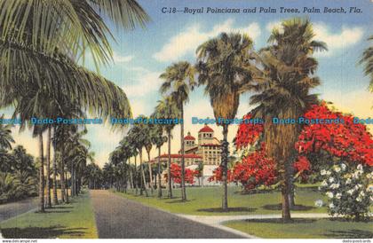 R051364 Royal Poinciana and Palm Trees. Palm Beach. Florida. F. E. C. News