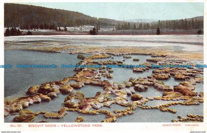 R054230 Biscuit Basin. Yellowstone Park. Haynes