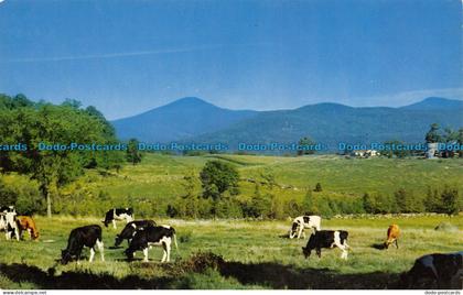 R065400 Looking Towards Pico Peak near Rutland. Vermont. Mike Roberts