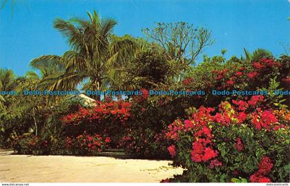 R066283 Nassau in the Bahamas. Lofthouse Agency