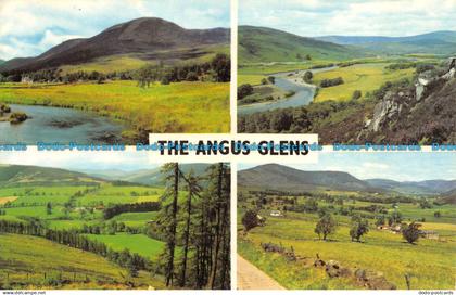 R068883 The Angus Glens. Multi view