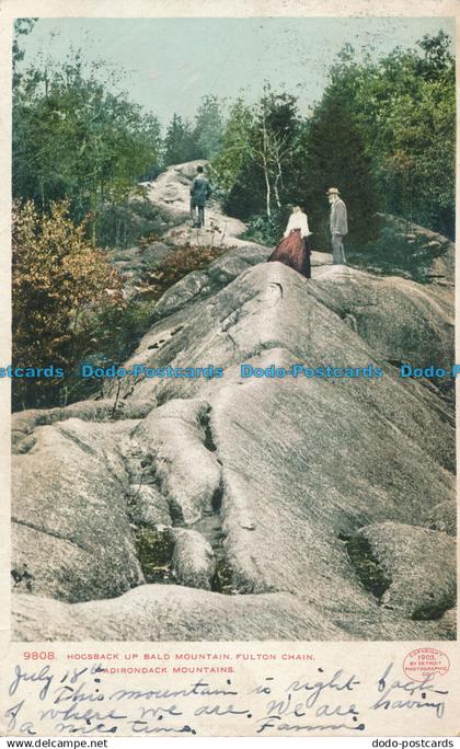 R069390 Hogsback Up Bald Mountain. Fulton Chain. Adirondack Mountains. 1906