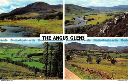 R070939 The Angus Glens. Multi view. Photo Precision