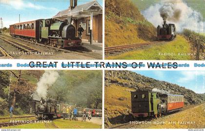 R081723 Great Little Trains of Wales. Salmon. Multi View