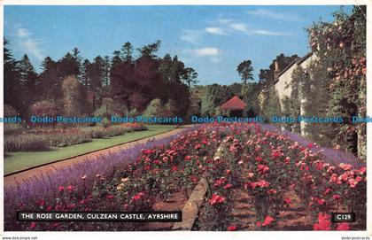 R082230 The Rose Garden. Culzean Castle. Ayrshire. Henderson. 1960
